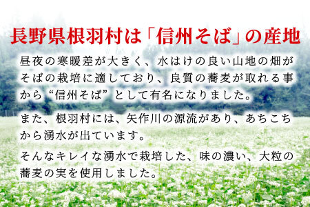 発酵中！2024年4月～発送★南信州根羽村産 そば焼酎 「根羽乃華」 25度 720ml 2本 喜久水 蕎麦 長野 14000円