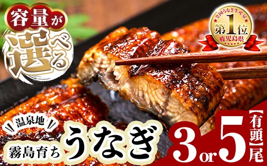 
            ＜容量が選べる＞霧島市育ちのあの「うなぎ」3尾or5尾(1尾120～130g・冷凍)【田代水産】霧島市 鰻 ウナギ 蒲焼き 蒲焼 国産 C-077-RT B-128-RT
          
