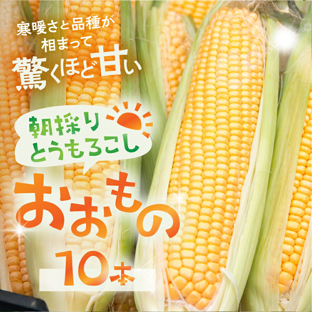 【ふるさと納税】≪在庫残り僅か≫ 朝採れとうもろこし「おおもの」10本入 とうもろこし トウモロコシ 大粒 甘い おいしい とうもろこし おおもの とうもろこし 甘い コーン 野菜 やさい 生 旬 夏 BBQ 焼肉 産地直送 先行予約 岐阜県 郡上市 数量限定