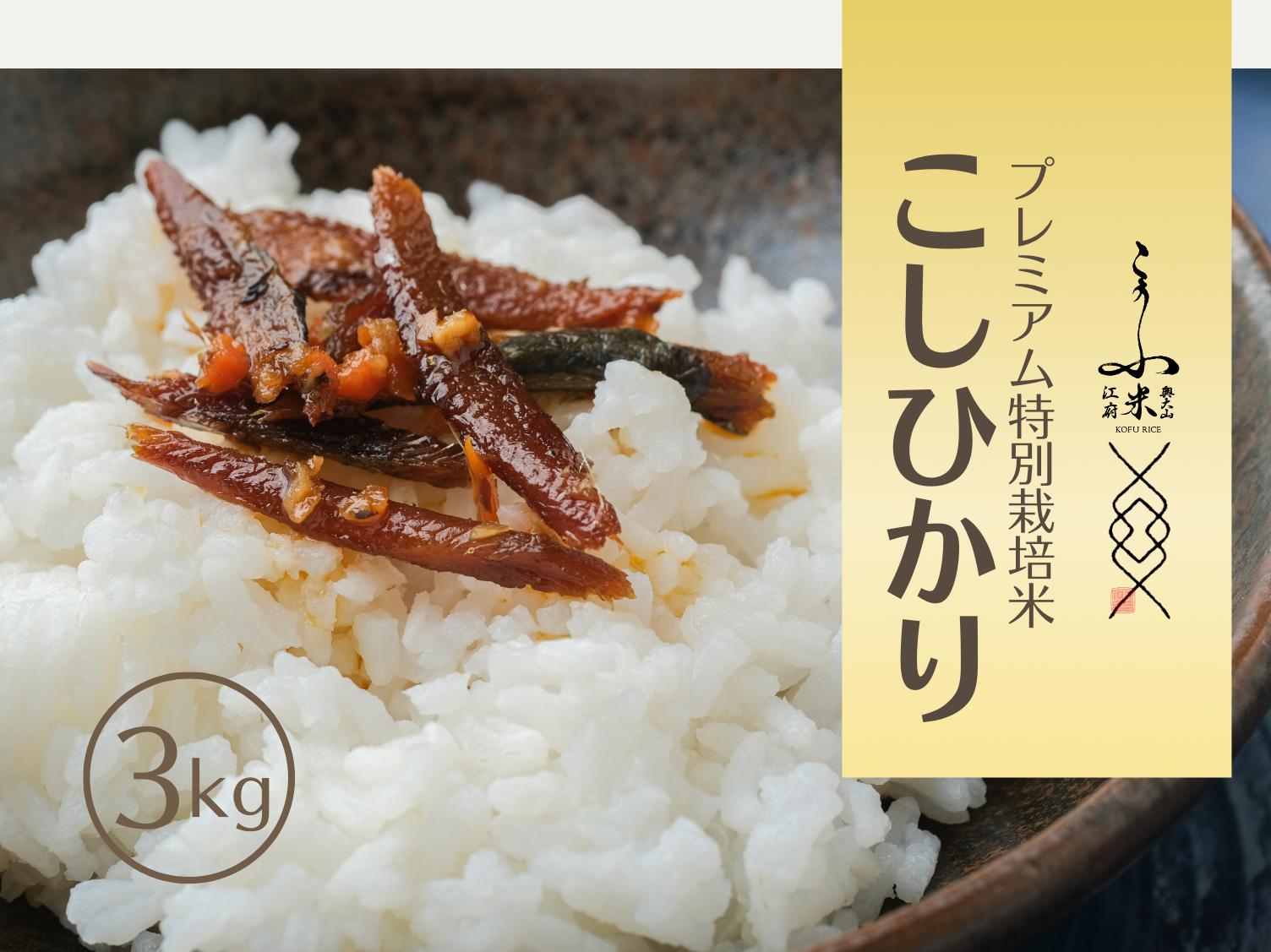 
            【令和7年産】奥大山江府米コシヒカリ 3kg プレミアム 特別栽培 こめ こしひかり 精米 3ｷﾛ 0624
          