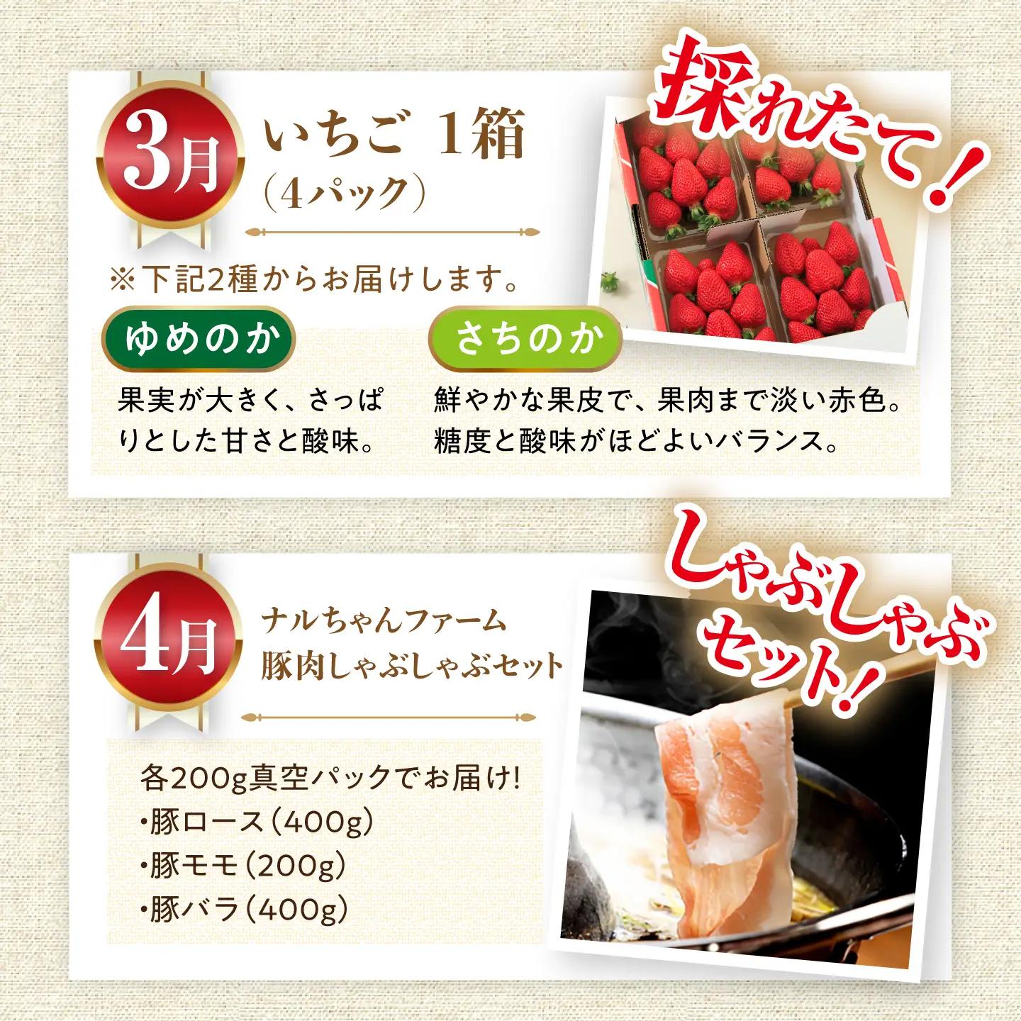 【12回定期便】豚肉＆旬の農産物 梨コース（ 豚肉 いちご 野菜 果物 ハム 梨 みかん ）/ 便利な定期便 バラエティ定期便 バラエティ / 大村市 / おおむら夢ファームシュシュ[ACAA125]