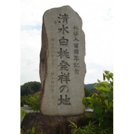 岡山県産　清水白桃　6～8玉入り　2キロ 化粧箱入り【配送不可地域：離島・北海道・沖縄県・東北・関東・信越、北陸】【1726282】