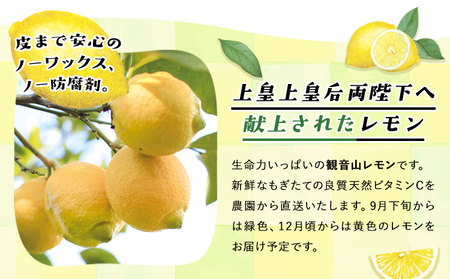 ノーワックス 観音山レモン4kg