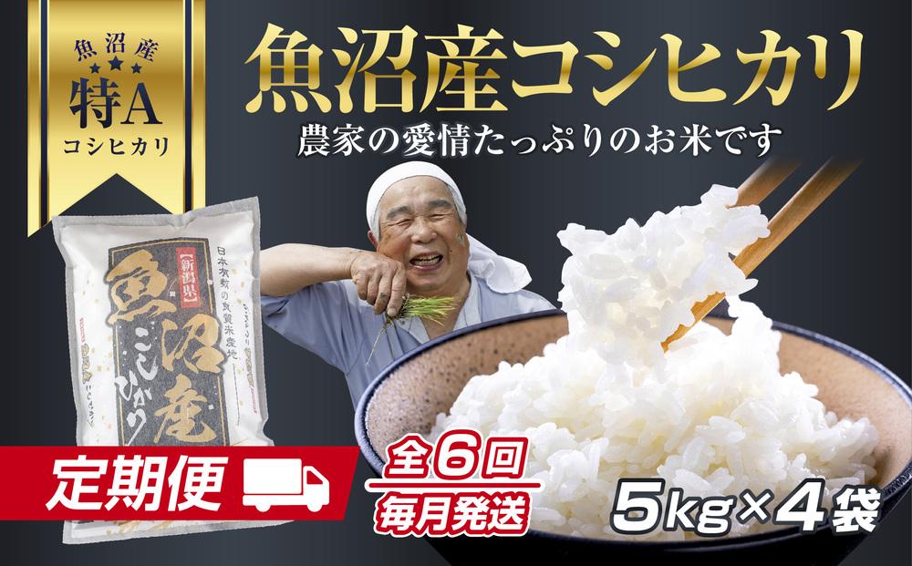 DH11 【定期便】 新潟県 魚沼産 コシヒカリ お米  20kg×計6回 精米済み 半年 毎月発送 こしひかり（お米の美味しい炊き方ガイド付き）