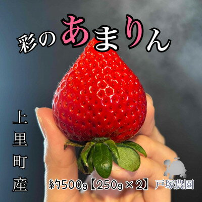 【ふるさと納税】埼玉県限定品種あまりん 約500g【配送不可地域：離島】【1687064】