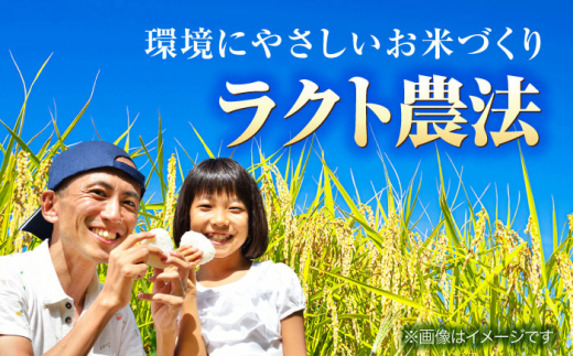 【令和8年産 新米】 【 先行予約 /9月中旬から発送】　福井県産 ラクト農法 コシヒカリ 白米 10kg / 米 お米 精米 国産米   / 小浜市 / 北川博司 [BFDG006]