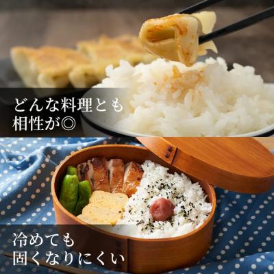 ふるさと納税 八頭町 因幡の白兎米 きぬむすめ 令和7年産 精米済 20kg(5kg×4袋) |  | 03