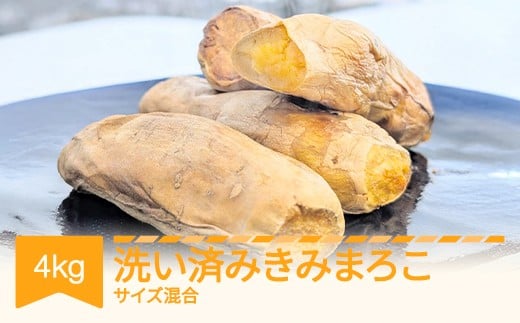 
            【先行予約】さつまいも きみまろこ 洗い 約4kg 村山市産 2026年産 令和8年産 山形県産 ※沖縄・離島への配送不可 no-spkma4
          