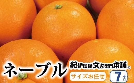 ネーブル 7kg サイズおまかせ　/ ネーブル オレンジ ネーブルオレンジ 蜜柑 みかん 柑橘 果物 フルーツ 紀伊国屋文左衛門本舗 ※2027年1月中旬～2月上旬頃順次発送予定(お届け日指定不可)　 【kmtb028-r-7A】