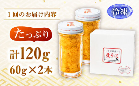 【全12回定期便】壱岐産 生うに 120g（60g×2本）[JEH007]