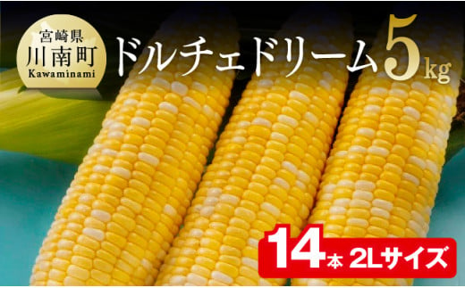 【令和7年発送】朝どれ！守部さんちのドルチェドリーム (2L)5kg【 先行予約 数量限定 期間限定 とうもろこし スイートコーン トウモロコシ スィートコーン 令和7年発送 】