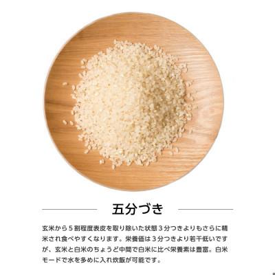 ふるさと納税 潟上市 【毎月定期便】秋田県産あきたこまち 5kg(五分づき)全3回 |  | 01