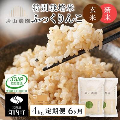 ふるさと納税 知内町 【令和8年産新米先行受付】【6カ月定期便】特別栽培米産地直送玄米ふっくりんこ2kg×2個 箱入