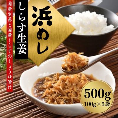 ふるさと納税 南相馬市 浜めししらす生姜 500g(100g×5袋) 香の蔵  al004-aa