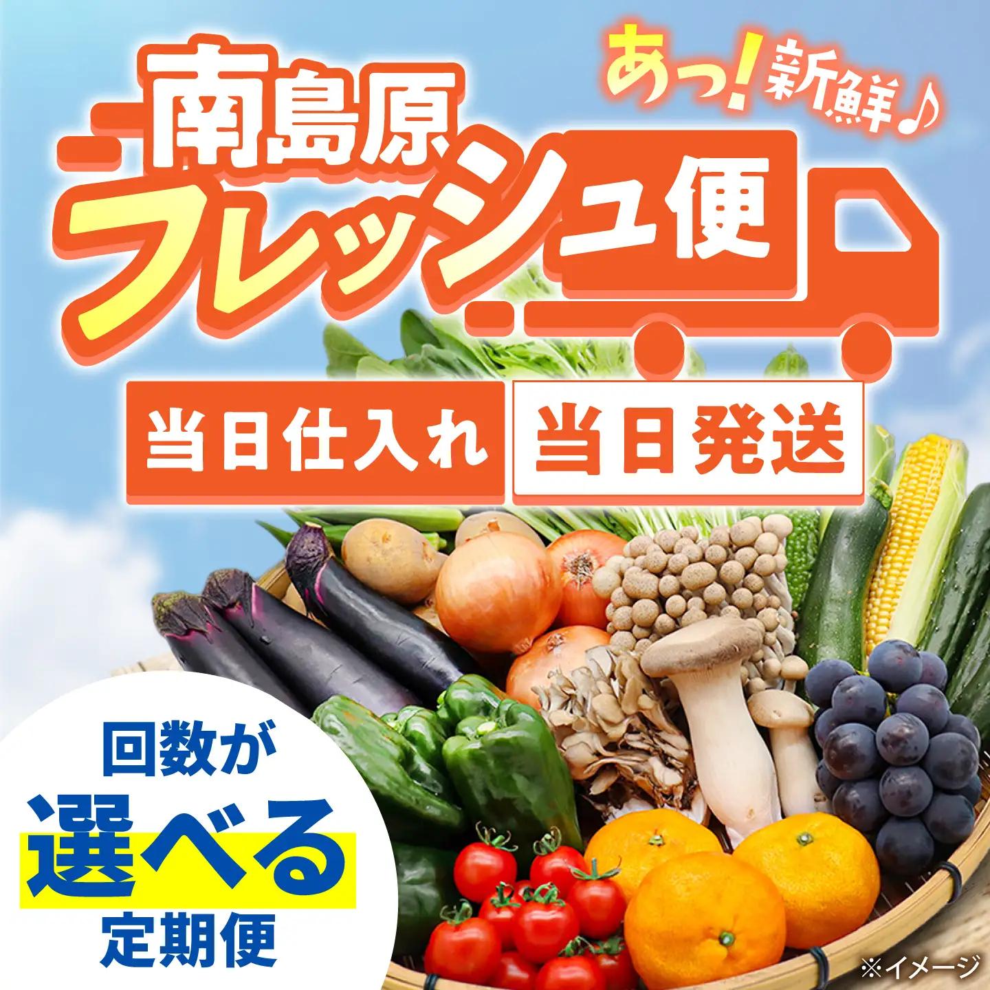 【毎月コース】野菜 キノコ 果物 11品目 詰め合わせ 10回 定期便  / 南島原市 / 吉岡青果[SCZ036]
