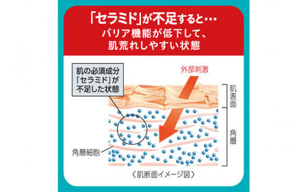 定期便6ヶ月 花王 キュレル　潤浸保湿 美容液【 化粧品 コスメ 敏感肌 乾燥 紫外線 セラミドケア 神奈川県 小田原市 】