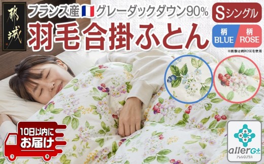 
                  【選べる2色】羽毛合掛ふとん フランス産グレーダック90%【S】≪みやこんじょ特急便≫〔AI-E104-Q〕_(都城市) 羽毛布団 寝具 抗菌防臭加工 ダウン SEKアレルGプラス加工 日本製 合い掛け布団 シングル
                