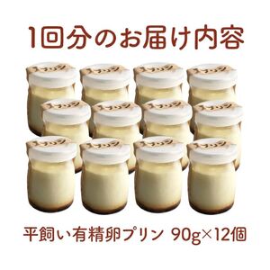 環の花 平飼い有精卵プリン 12個 3ヶ月定期便 スイーツ 国産 濃厚 【プリン】【ho1395】