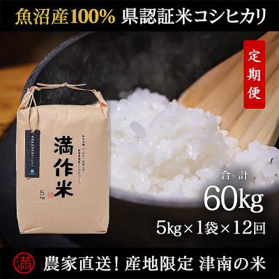 ふるさと納税 津南町 【毎月定期便】県認証特別栽培魚沼産コシヒカリ5kg (5kg×1袋)×12回 合計60kg全12回