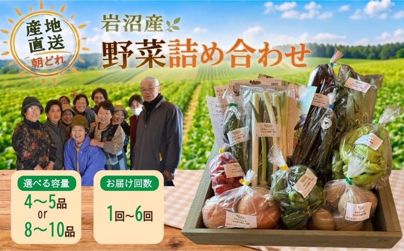 
                  [選べる容量/回数]産地直送 朝どれ 新鮮野菜 詰め合わせ セット 定期便 頒布会 おまかせ 旬 季節の野菜 春野菜 夏野菜 秋野菜 冬野菜 根菜 ネギ 白菜 トマト 玉ねぎ ほうれん草 太陽と水と土 自然の恵みをたっぷり浴びた野菜 宮城県 岩沼産
                