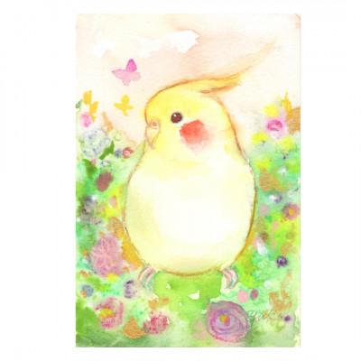 ふるさと納税 糸田町 うちの子オーダーメイド・鳥イラスト/セキセイインコ・オカメインコをはじめ全ての鳥さんをお描きします! |  | 01