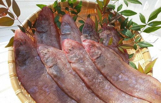 【ふるさと納税】赤舌平目 1kg (3枚×2P) 下処理済 魚 魚介 白身魚 ベタ 煮つけ からあげ ムニエル 旬 冷凍 漁師直送 送料無料