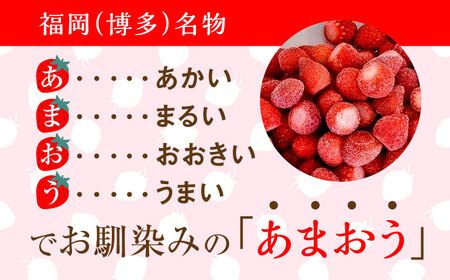 福岡県産【博多冷凍あまおう】約500g×4袋 合計約2kg＜株式会社H&Futures＞ 那珂川市 いちご フルーツ くだもの 果物 あまおう 九州産 苺 国産 冷凍いちご 14000 14000円 