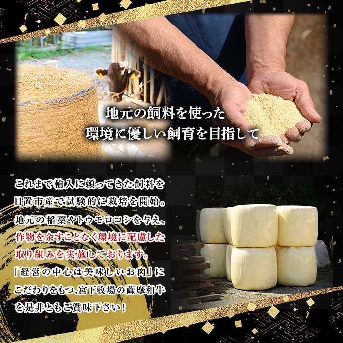 No.419 薩摩和牛のすきしゃぶセット(合計700g・肩ローススライス300g、モモもしくはカタスライス400g)国産 牛肉 スライス 数量限定 すき焼き しゃぶしゃぶ セット 冷凍【さつま屋産業】