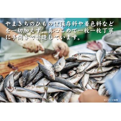 ふるさと納税 南伊豆町 南伊豆の老舗ひもの屋やまきちの　　　　　厳選〜極み〜ひものセット |  | 01