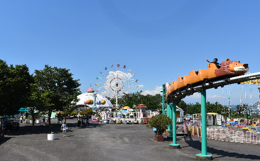 【群馬サファリパーク】プライベートツアー(3名様)