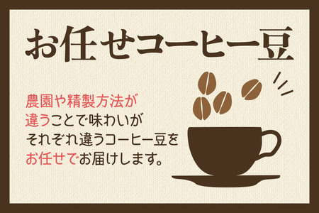 コーヒー豆 自家焙煎 ホンジュラス スペシャルティコーヒー ギフトセット【グランデ】焙煎豆100g×6パック 粗挽き【豆種類お任せ】