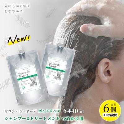 ふるさと納税 四万十市 【3回定期便】サロン・ド・オーデ ボンドリペア シャンプー&amp;トリートメント詰替え 26