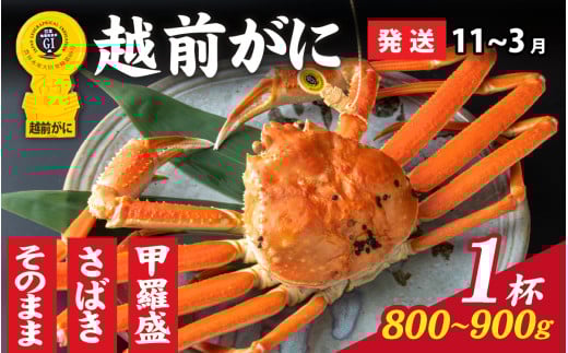 【先行予約】選べる！美味しさ直送【成前特選】 越前がに（800g～900g）×1杯【11月～3月発送】姿  [K-028048_06] / 福井県 福井 オス 雄 ズワイガニ ボイル 冷蔵 越前ガニ 越前がに 越前カニ ずわいがに ずわい蟹 かに カニ 蟹 指定 茹で 甲羅盛り 甲羅盛 すがた 姿 チルド 越前蟹 ずわい ズワイ 茹で蟹 茹で むき身