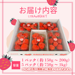 【訳あり】 いちご さちのか 5パック 1パック150g~200g 計約750g~1kg  訳あり イチゴ 訳あり イチゴ 訳あり イチゴ 訳あり イチゴ