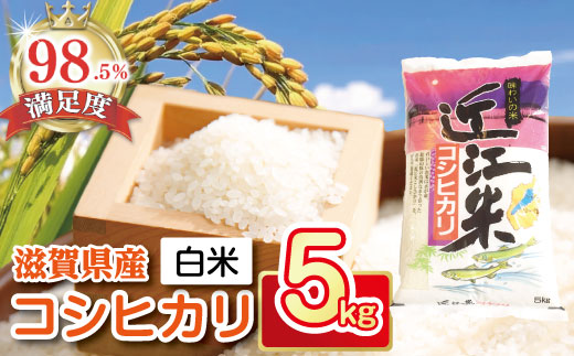 【7年産】近江米こしひかり【5kg×1袋】【T019W3】