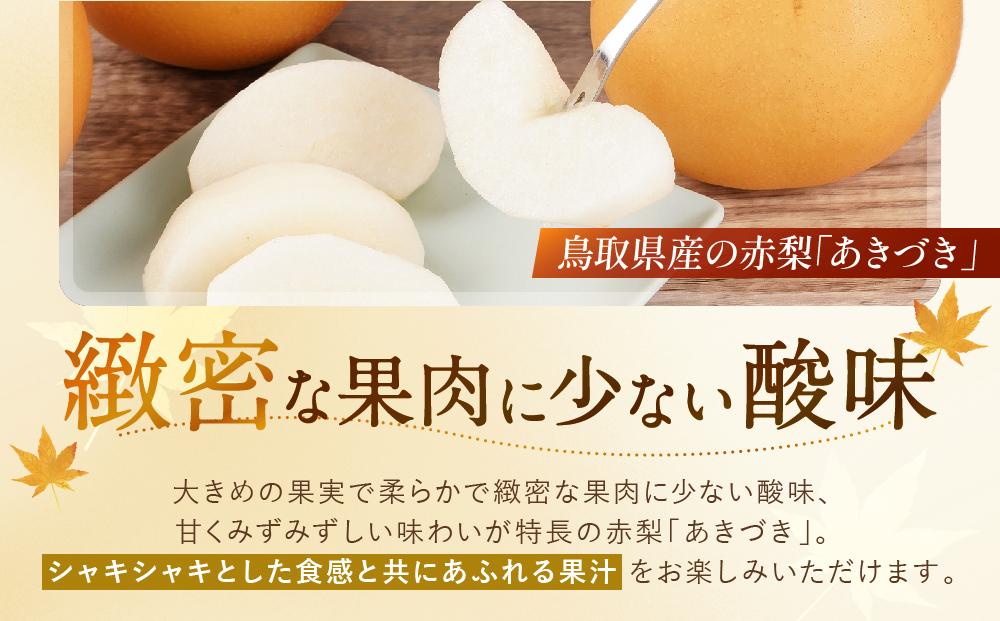 【先行予約】数量限定 鳥取県産梨 あきづき 5kg（10～12玉）