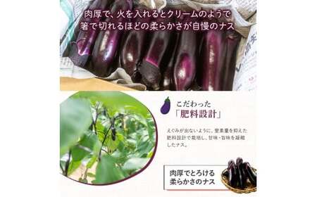 【予約受付】【期間限定】 焼いてトロける！三浦農園のトロなす1kg 栽培期間中農薬・化学肥料不使用 ／Fms-15 農産物 新鮮 焼きナス 野菜 大量 