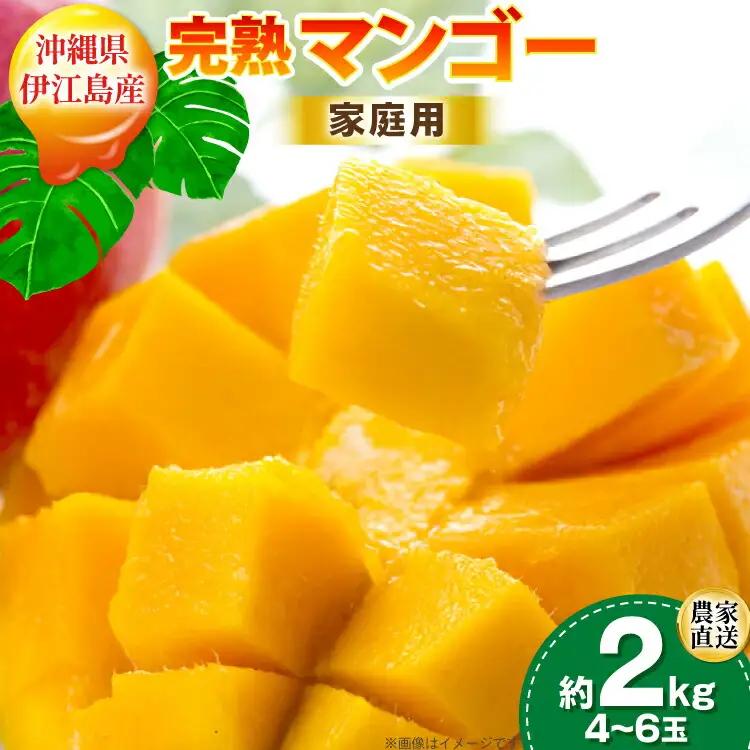 【2027年発送】 マンゴー 完熟 家庭用  アーウィン種 約 2kg (4〜6玉)