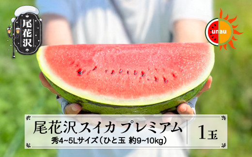 先行予約 尾花沢スイカ 4〜5Lサイズ(約9〜10kg)×1玉 プレミアム プレゼント ギフト 7月下旬～8月中旬頃発送 令和8年産 2026年産 東根農産センター UNAU すいか 西瓜 ※沖縄・離
