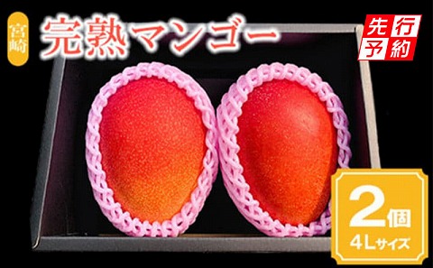 《2026年発送先行予約》【期間・数量限定】宮崎市産完熟マンゴー2玉 4Lサイズ(1玉450～499g) 宮崎県産 国産 マンゴー 宮崎マンゴー 完熟マンゴー 2玉 4Lサイズ フルーツ 果物 デザート 完熟 ギフト グルメ お取り寄せ 特産品