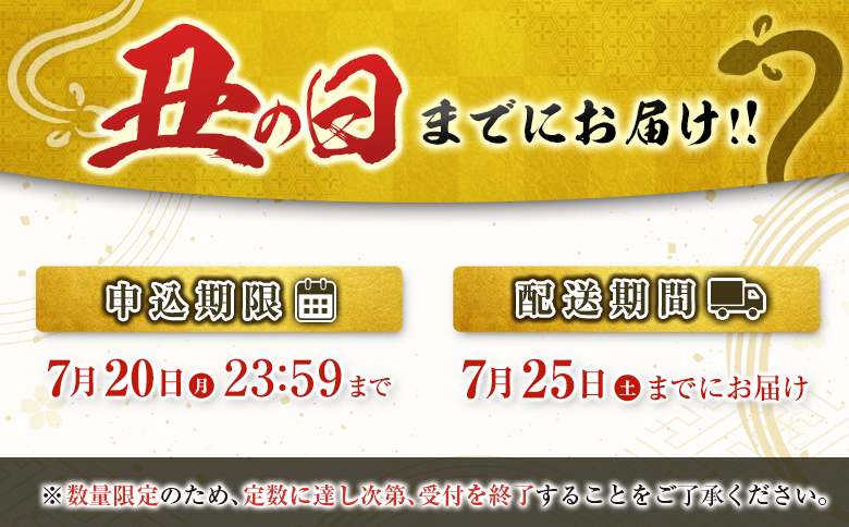 《丑の日までにお届け》極上鰻! うまい!＜うなぎ 国産 うなぎ蒲焼 2尾 320g以上＞ふるさと納税 うなぎ 高級 長蒲焼 鰻 夏バテ防止 ウナギ 鰻 かば焼き 蒲焼き 丑の日 タレ 宮崎県産 国産 