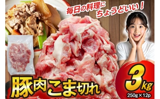 豚肉 こま切れ 250g 12p 計3kg [司フーズ・システム 兵庫県 三田市 3d28bdy500010] 豚こま 小分け 真空パック 冷凍 セット こま 小間切れ 豚こま肉 豚小間 豚細切れ 豚小間切れ