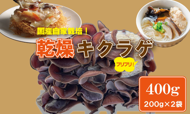 
                   国産 自家製 乾燥 きくらげ （400g）ジョブクリエイト 肉厚 プリプリ キクラゲ 中華料理 ラーメン スープ アクセントに！
                