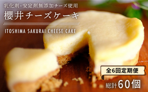 【全6回定期便】無添加チーズの櫻井チーズケーキ【10個入り】 糸島市 / 糸島手作り工房 爽風 [ATA009] スイーツ チーズケーキ 個包装 濃厚 レモン 冷凍 冷蔵