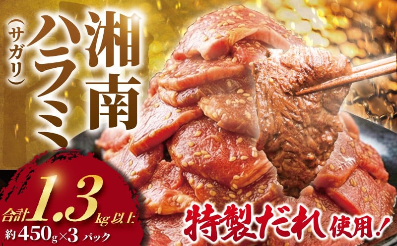 
            ハラミ タレ漬け 計 1.3kg 以上  ( 約450g × 3 パック ) はらみ 厚み 牛 牛肉 肉 お肉 焼き肉 焼肉 だれ ダレ タレ 味付 さがり サガリ 牛肉ハラミ ビーフ ぎゅうにく おいしい やわらかい 美味 ハラミ 牛ハラミ 牛はらみ 焼肉ハラミ はらみ 肉 niku 小分け 大容量 個包装 簡単調理 BBQ おかず 冷凍 タカギフーズ 神奈川 湘南 藤沢
          