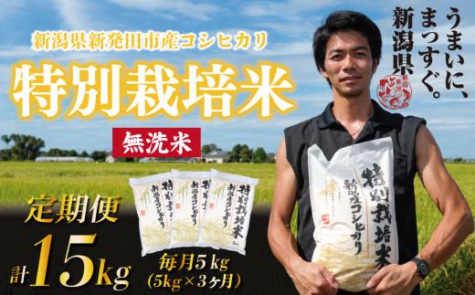 【令和8年産定期便】 3ヶ月 定期便 コシヒカリ 無洗米 5kg 3ヵ月 15kg 令和8年産 特別栽培米 こしひかり 米 お米 こめ 新潟米 新潟県産 新潟産 新潟 新潟県 新発田産 新発田 新発田市 斗伸 toushin073_01