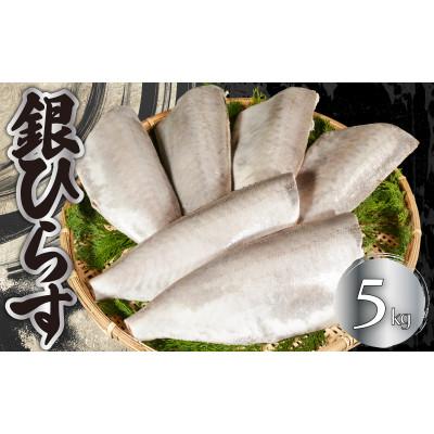 ふるさと納税 銚子市 銀ひらす 下処理済み 5kg
