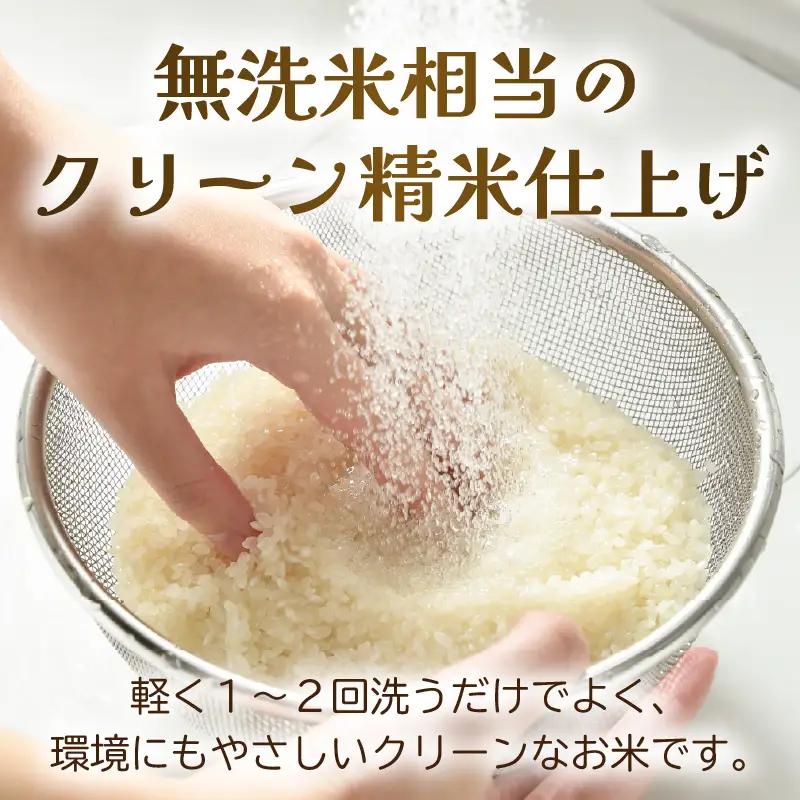 【先行予約】【令和8年産 新米】ワルツ農場のコシヒカリ クリーン精米 5kg 特別栽培米【納得の美味しさ】減農薬 有機肥料使用 / お米 ご飯 白米 発送直前 精米 つや 艶 甘味 旨み 北陸 あわら