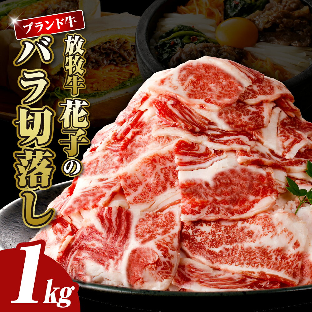 【ふるさと納税】牛肉 切り落とし 1kg 肉 牛 切り落し バラ肉 赤身 国産牛 国産牛切り落とし 薄切り バラ盛り 小分け すき焼き 牛丼 しゃぶしゃぶ 放牧牛 家計応援 お取り寄せ グルメ 冷凍 国産 便利 北海道産 北海道 えりも町 送料無料
