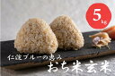 【ふるさと納税】仁淀ブルーの恵み「おち米」（玄米）5kg